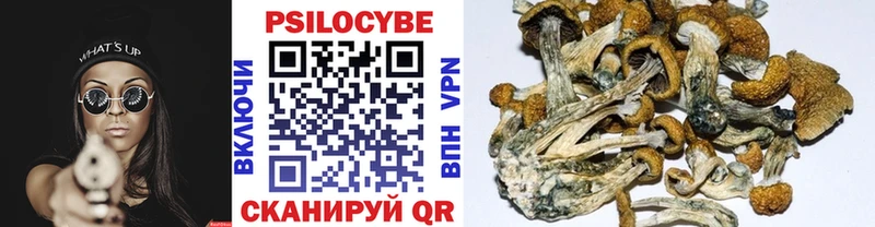 Псилоцибиновые грибы ЛСД  купить наркотик  OMG ссылка  Усть-Джегута 